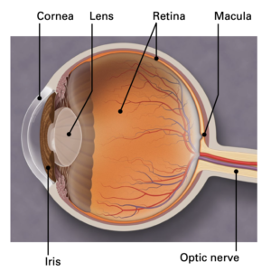 macular hole